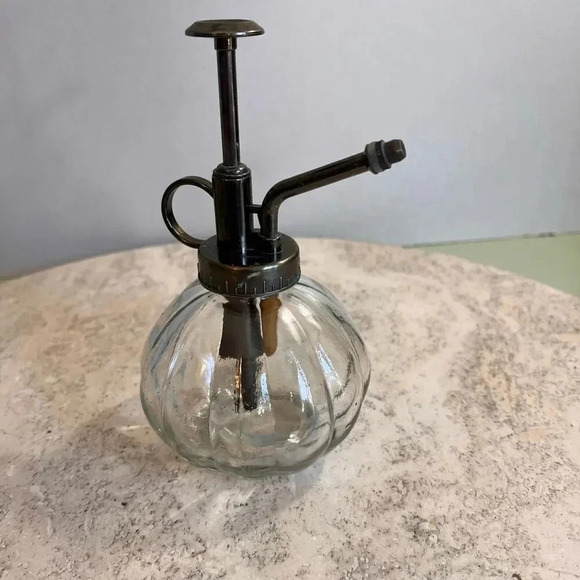 Vintage Perfume Spritzer Succulents Mister Clear Cut Glass Bottle Plunger System - Picture 1 of 10